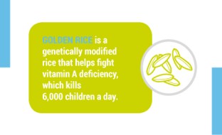 GoldenRice